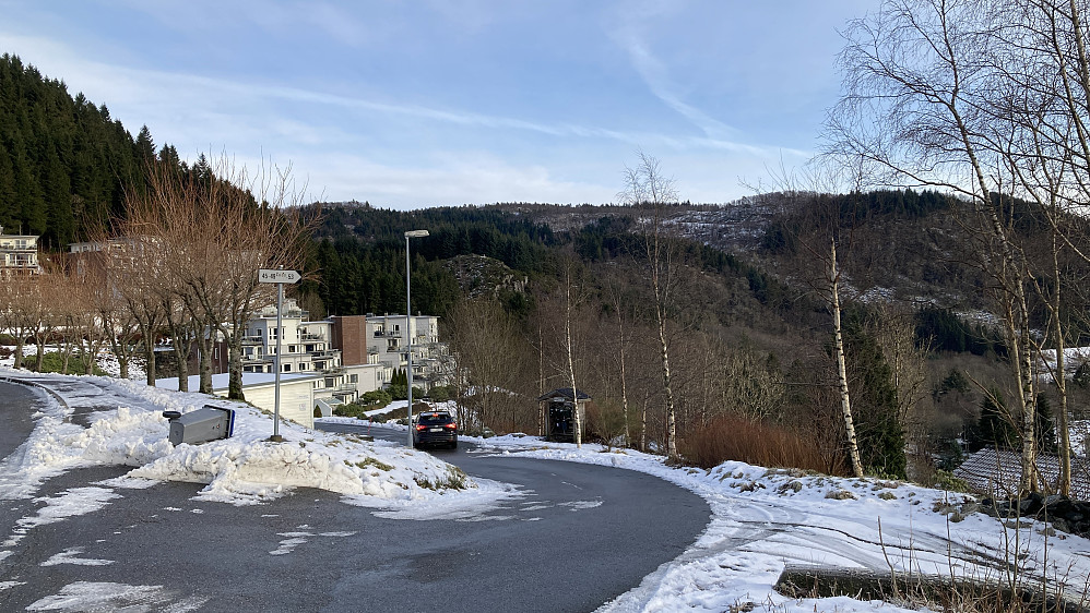 Håvegen fra Hatlestadlia. Denlyse søylen skimte ute på kanten