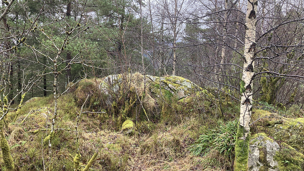 Den helt mosegrodde søylen på Tårnnebben er veltet ned og ligger på sørsiden av knausen den har stått på!