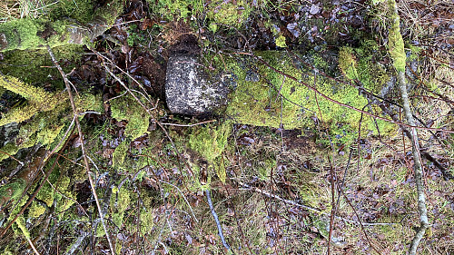Vi skrapte av mose slik at hvitmalingen under toppen kom frem