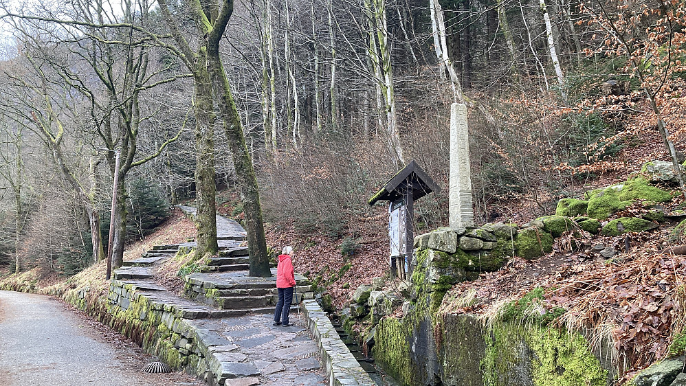 Stoltzekleiven - behagelig start men det blir brattere etterhvert!