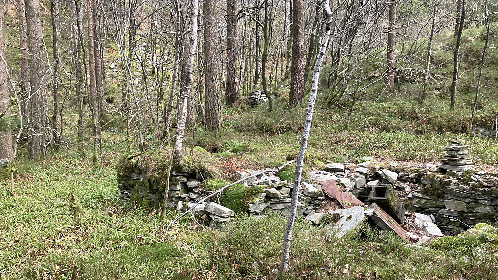 Lunch i Fjellstova!