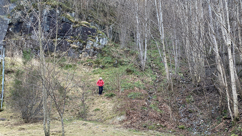 Vi fulgte sti opp bakken og dreide mot venstre i retning masten