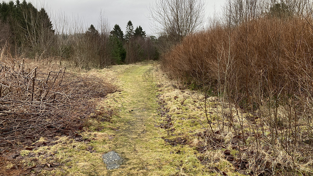 Gammel jordbruksvei fører opp mot søylen og Storasåta.