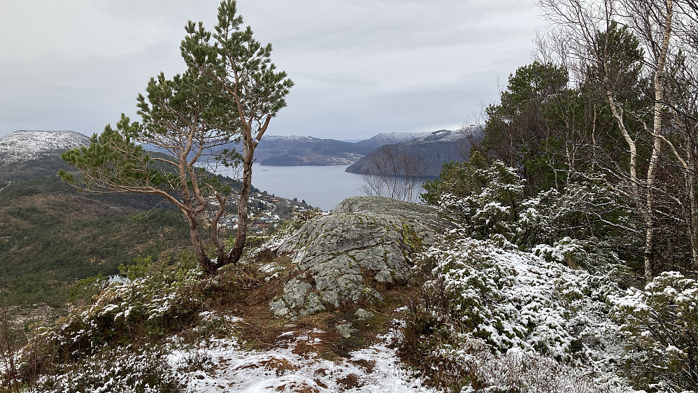 Høyeste punkt på Sjurstonipa