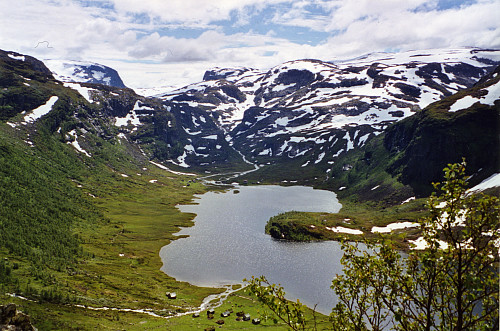 Slondalsvatnet med Lartaneset