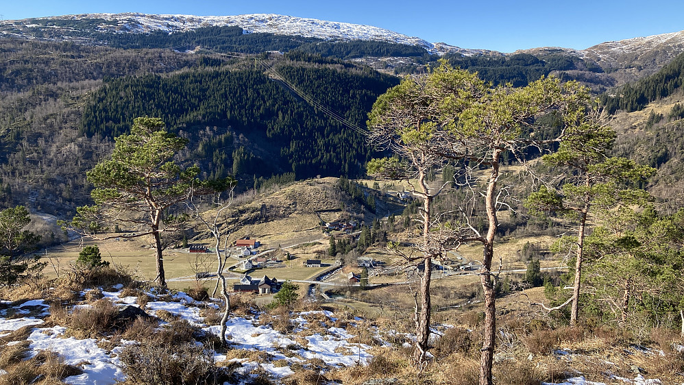 Utsikt ned mot Samdalen med Kongshaugen 125 i senter