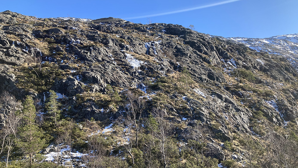 Skråningen på vestsiden av Åsen der vi kløv opp. Brattere enn det ser ut på bildet!
