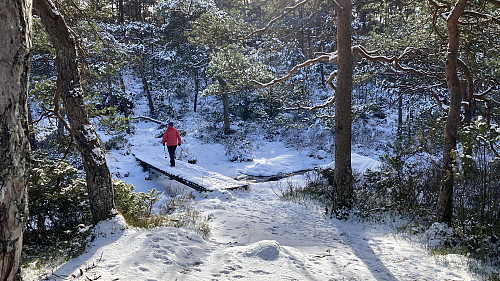 Fint tilrettelagt turområde ....