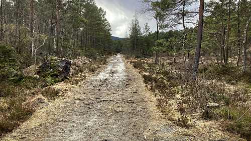 En del av Den Stavangerske Postvei mellom Bergstø og Hetleflåt