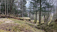 knutsverre_20230430_644e8f4782426.jpeg