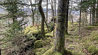 knutsverre_20230430_644e8f49eb83d.jpeg