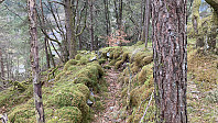 knutsverre_20230430_644e8f4ec718e.jpeg