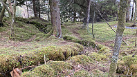 knutsverre_20230430_644e8f51665f4.jpeg