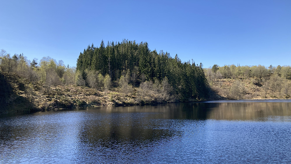 Bjørnevasskletten - en ganske markant skogstopp sør for Bjørnevatnet. Foto fra ØNØ.