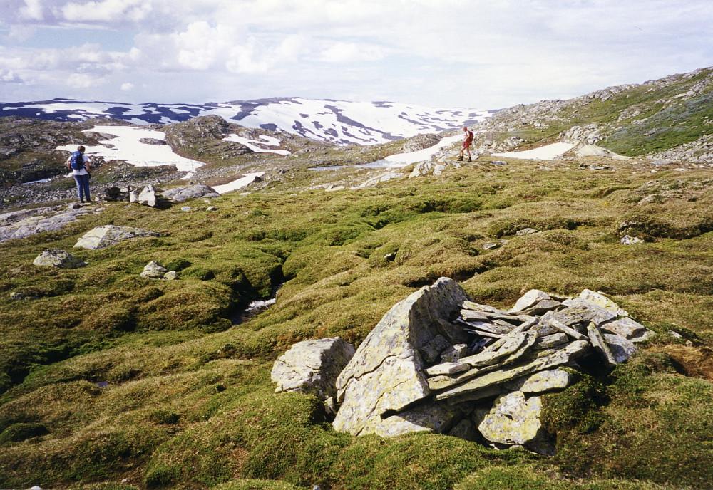 Mulig felle for jerv ved Lureggjane øst for Fagerdalsvatnet. Hervardseggi i bakgrunnen. Foto Helge S. Titland
