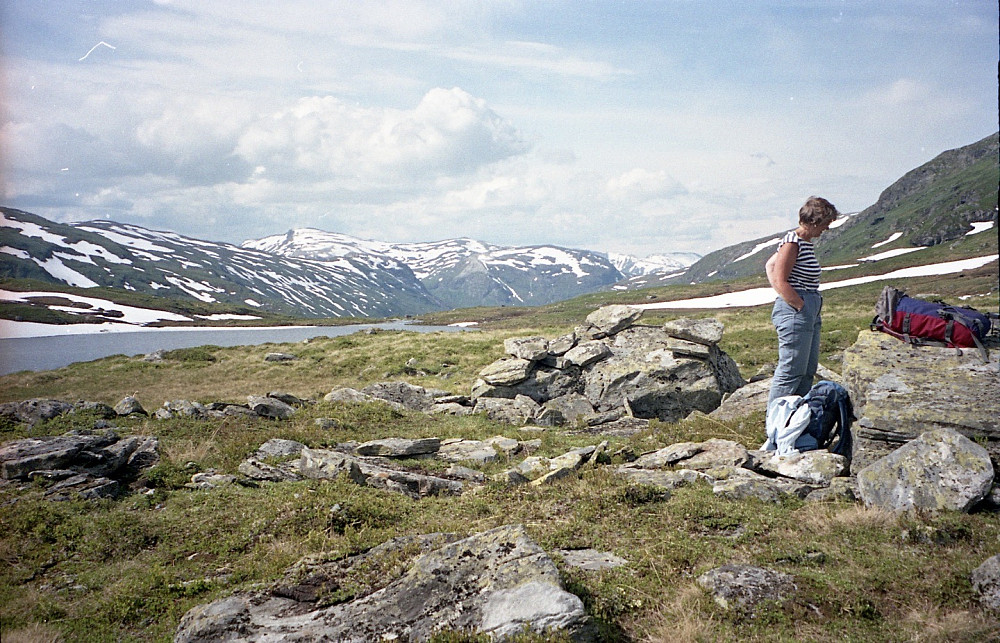 Astrid ved tuftene nord for Jernhusvatnet mot venstre. Mjølfjellet helt i bakgrunnen