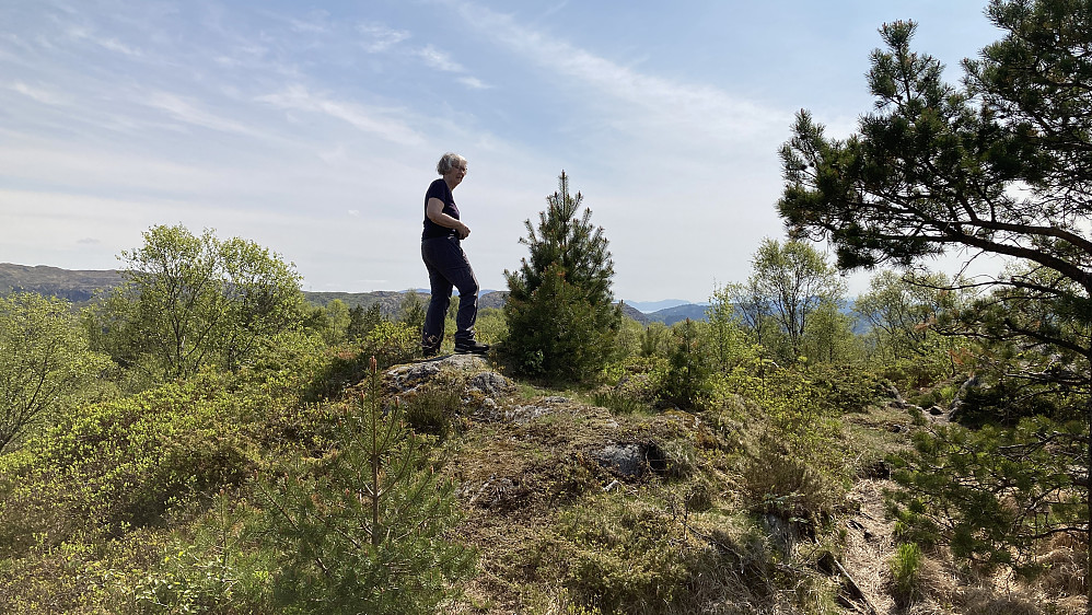 Astrid på høyeste punkt på Gløvrehaugen øst for Søre Gløvrevatnet