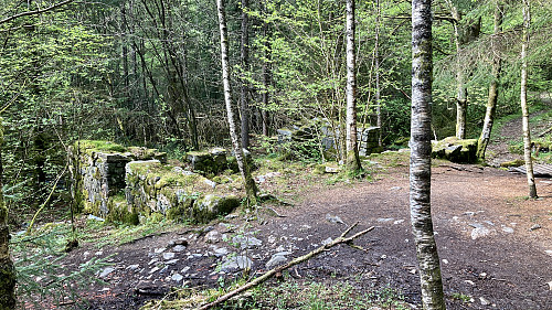 Ruin etter stor bygning (låve?) ved en liten bekk i Tennebekklien