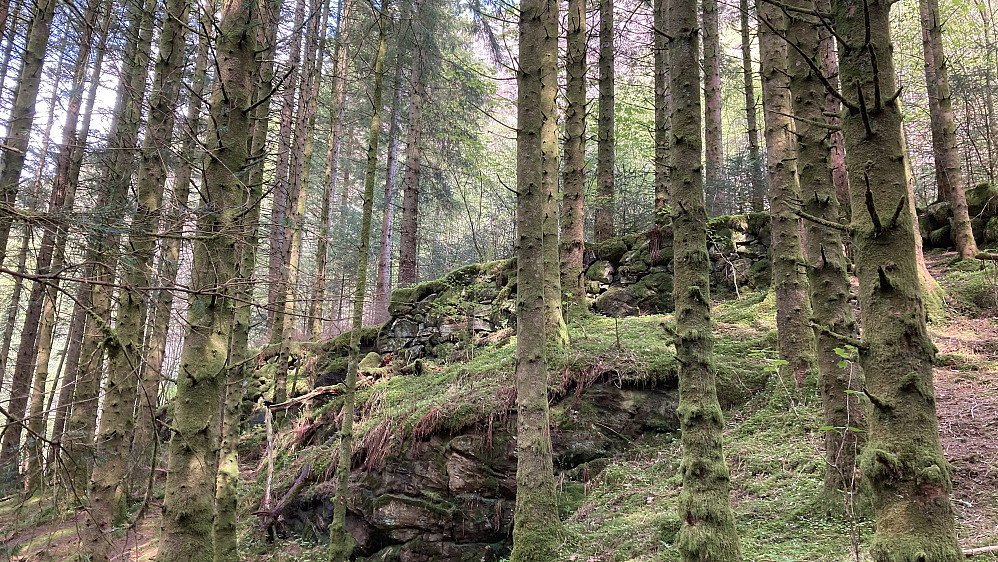 Steinmur av grov stein. Bakkemur eller veirelaterte?