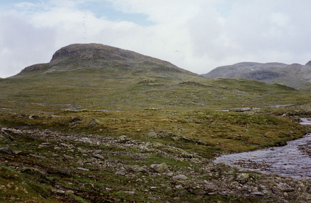 Såta 1315 sett fra Såtedalen setter