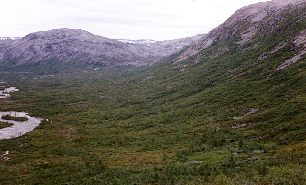 Oversiktsbilde. Fossen seter ligger på den grønne flaten nede mot høyre. Foto mot SV i retning mot Såtefossen. Grodjuvenuten 1240 i bakgrunnen.
