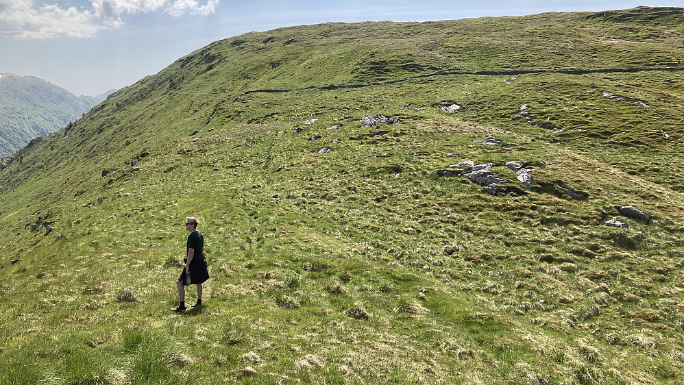 En imponerende steingard er bygget i skråningen opp mot Skåldalsfjellet! Sannsynligvis har dette vært en utmarksgrense mellom gårdene på sørsiden av Skåldalsfjellet (Minnegårdene) og gårder på nordsiden mot Arna og Takvam.