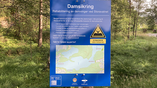 Damsikring