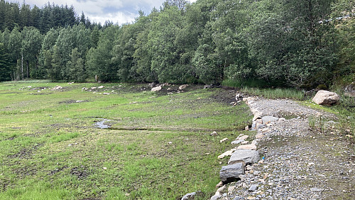 Samme. Foto mot nord. Veien forsvinner inne i skogen mot nord og der den er ødelagt av nyere vei i Krohnegården