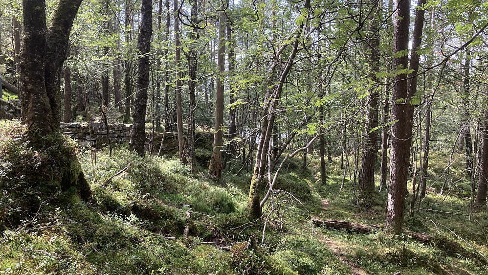 Steinfundamenter for vannrenner i Gullaksdalen
