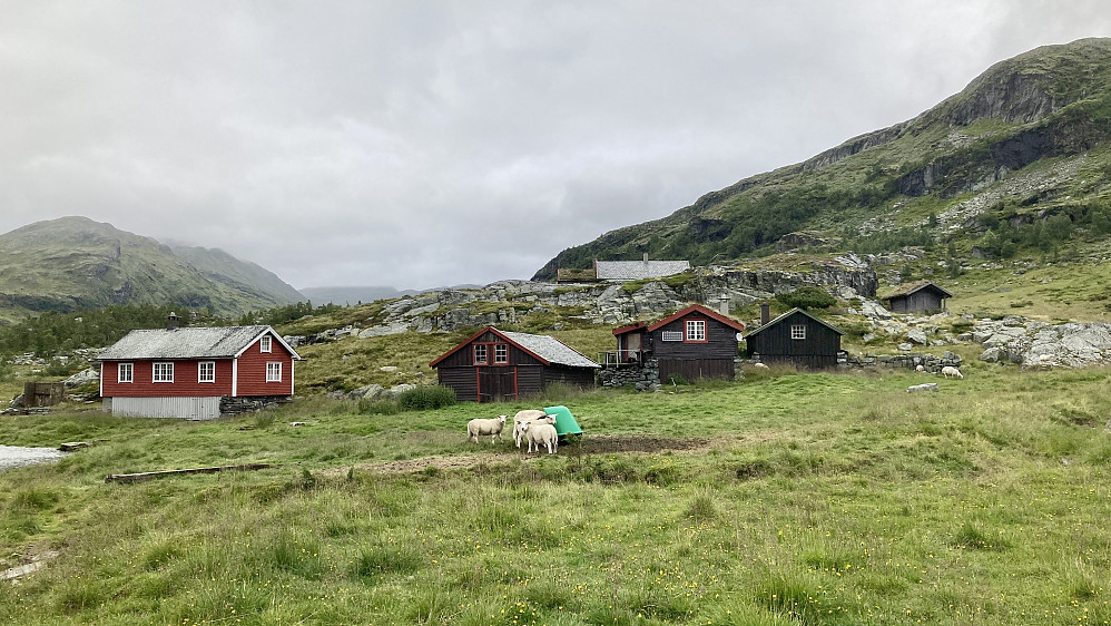 Stølsbygningene på Dalen, også kalt Dalasete.
