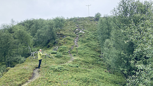 Fin sti og turterreng mot Altvikefjellet