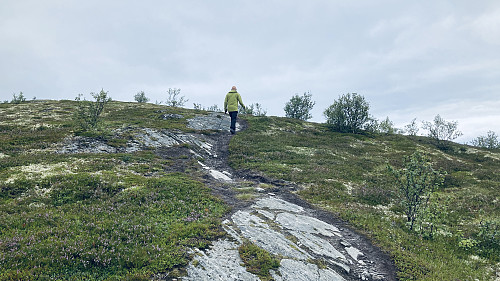 Høyere opp over tregrensen på 150-200 m!