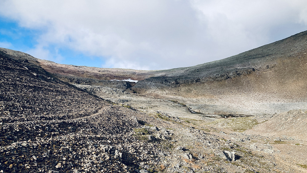 Fulgte meget gode dyretråkk i lettgått ur oppover mot dalbunnen. Litt nedenfor snøflekken ved det V-formete skaret begynner steinuren!