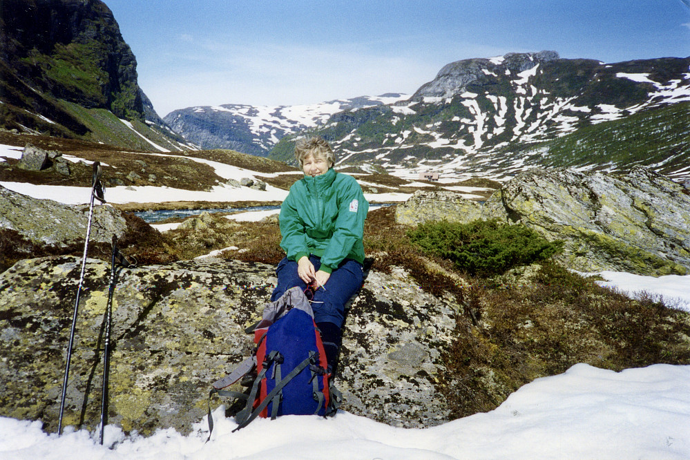 30. mai 1993 ved Bruåni i Slondalen