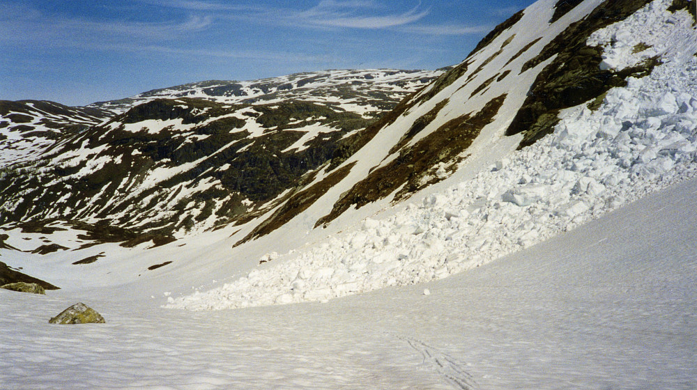 Snøskred fra østsiden av dalen
