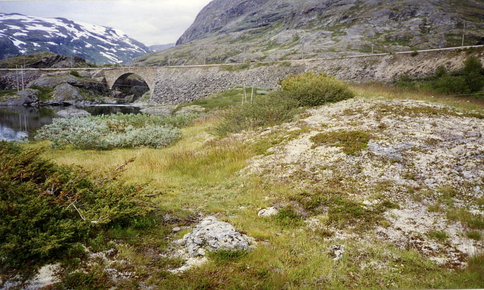 Jernbanebroen over Klevagjelet
