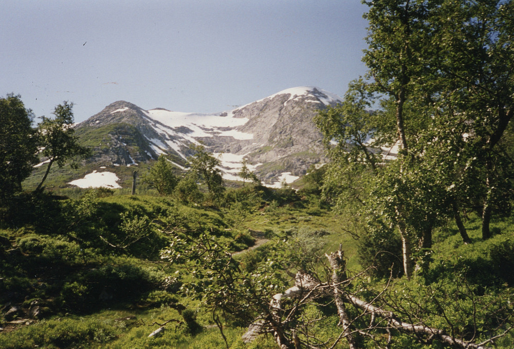 Horndalsbotn. Horndalsnuten 1461 mot høyre