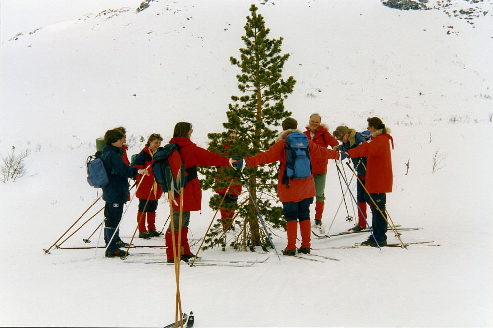 Gang rundt "juletreet" i Rjoanddalen i april!