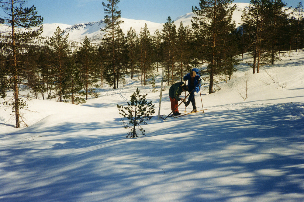 Fin dag i Mjølbotn på vei mot Skorafjell