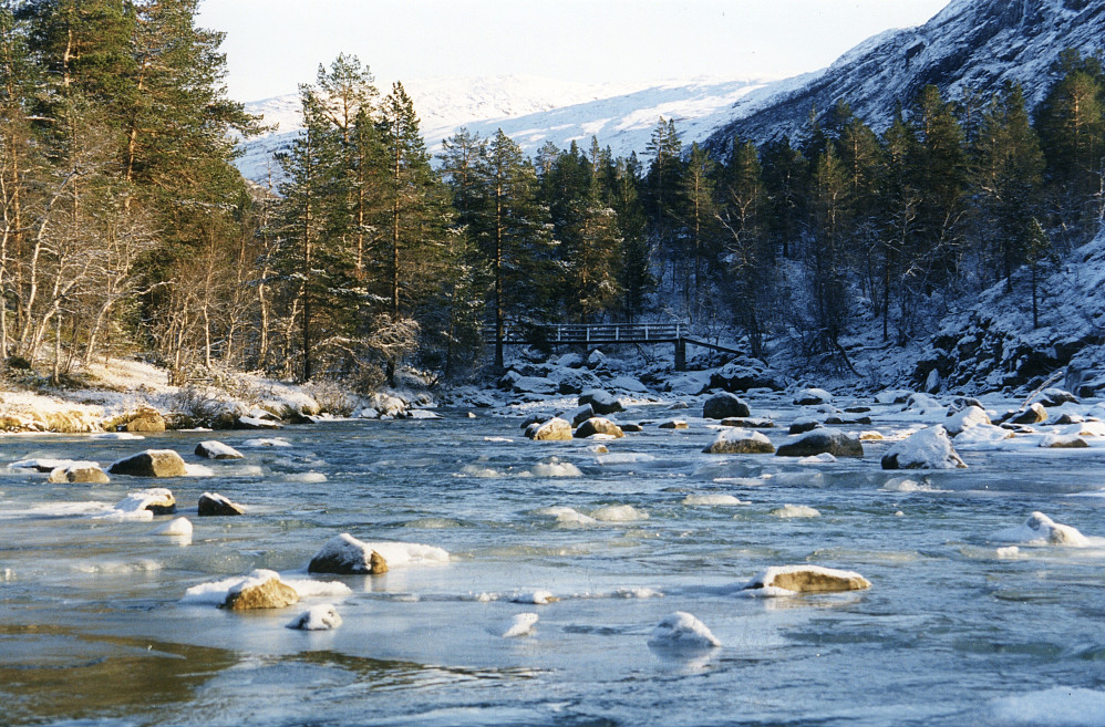 Kleivelvi med Øvre Vel bro ved Kårdal fjellstue