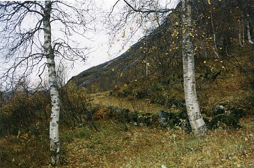 Gammel vei opp til Kleiva-lii