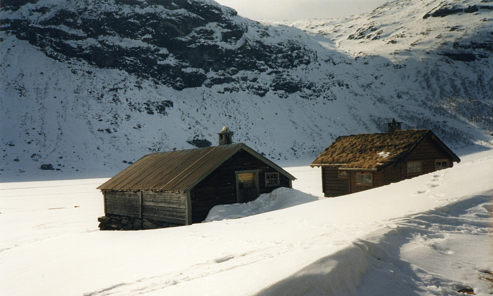Slondalsetrene. Foto mot vest
