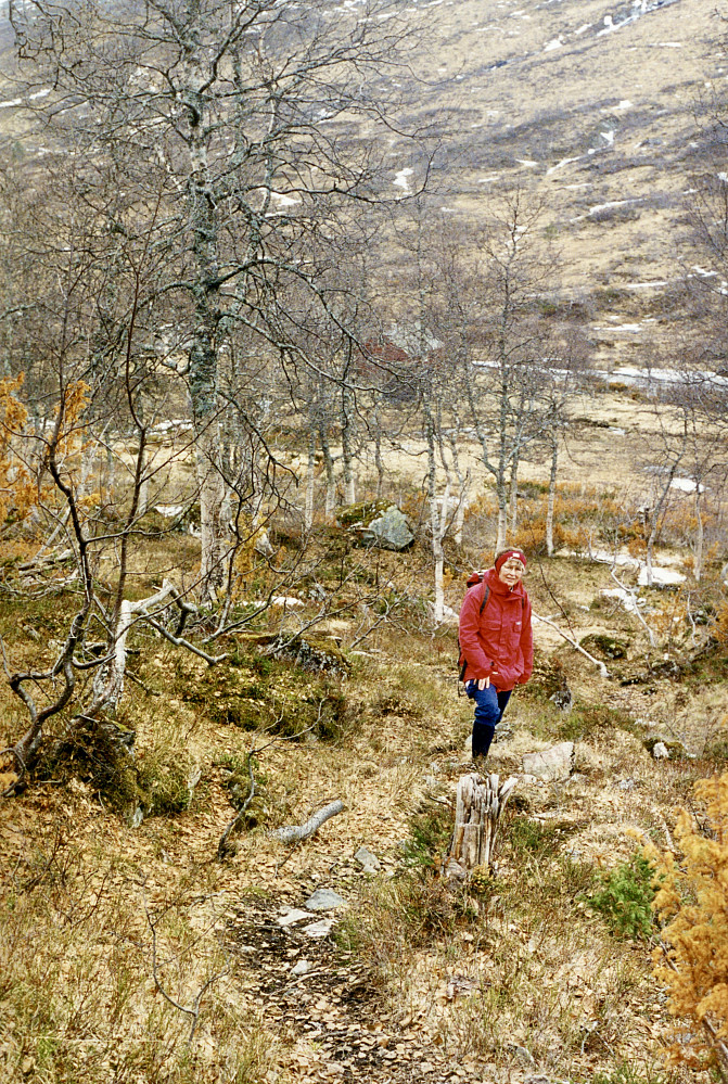 På vei mot Kleivastølen i Ljosandalen. Borgarbustølen i bakgrunnen