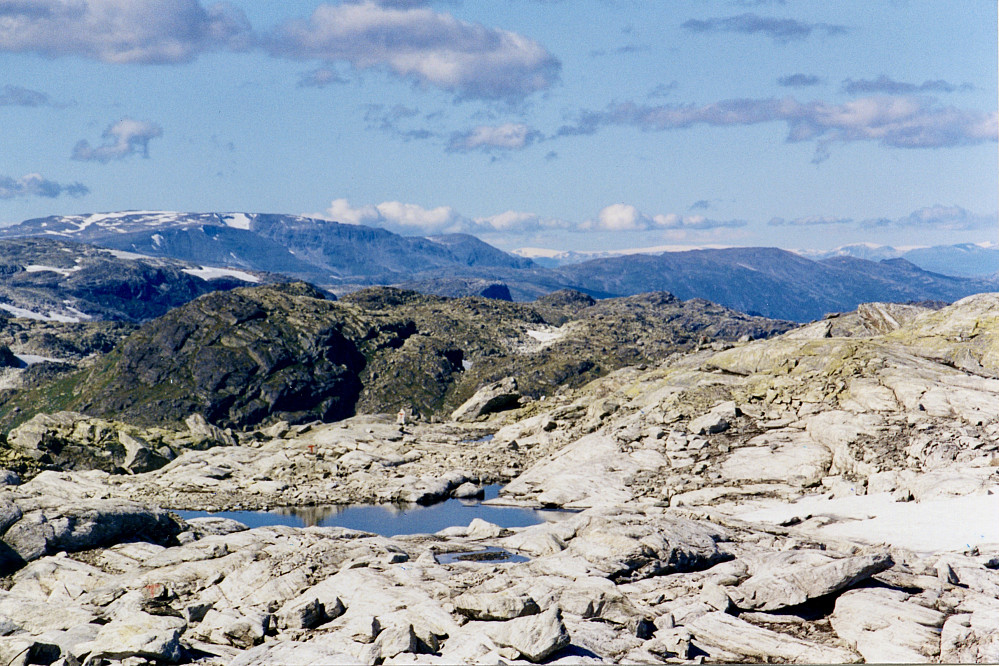 Goldt landskap på Vossaskavlen