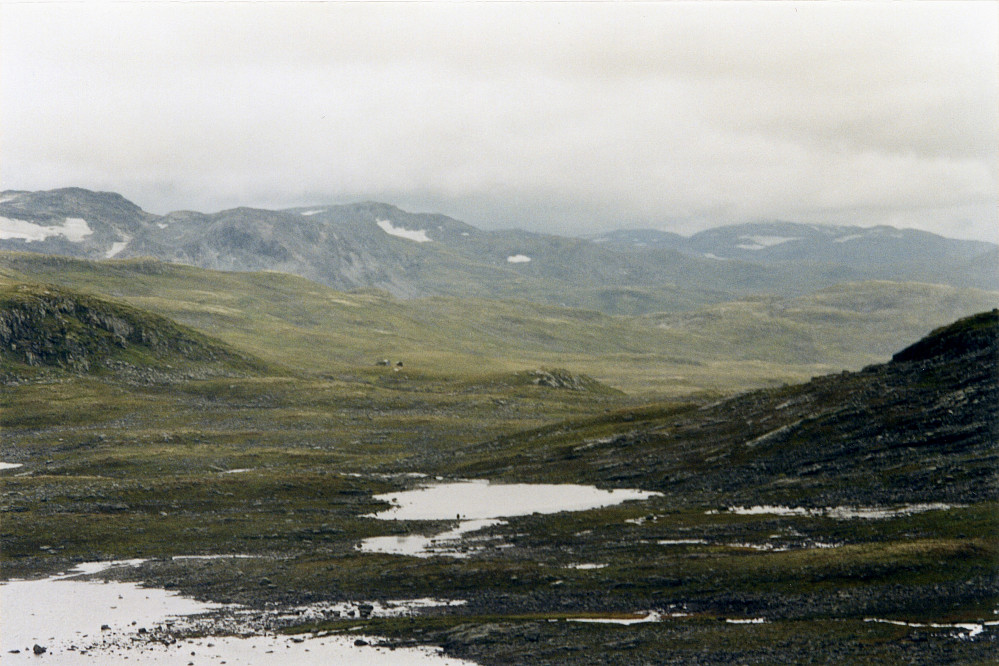 Soleifletene med Ohnstad-stølene i bakgrunnen