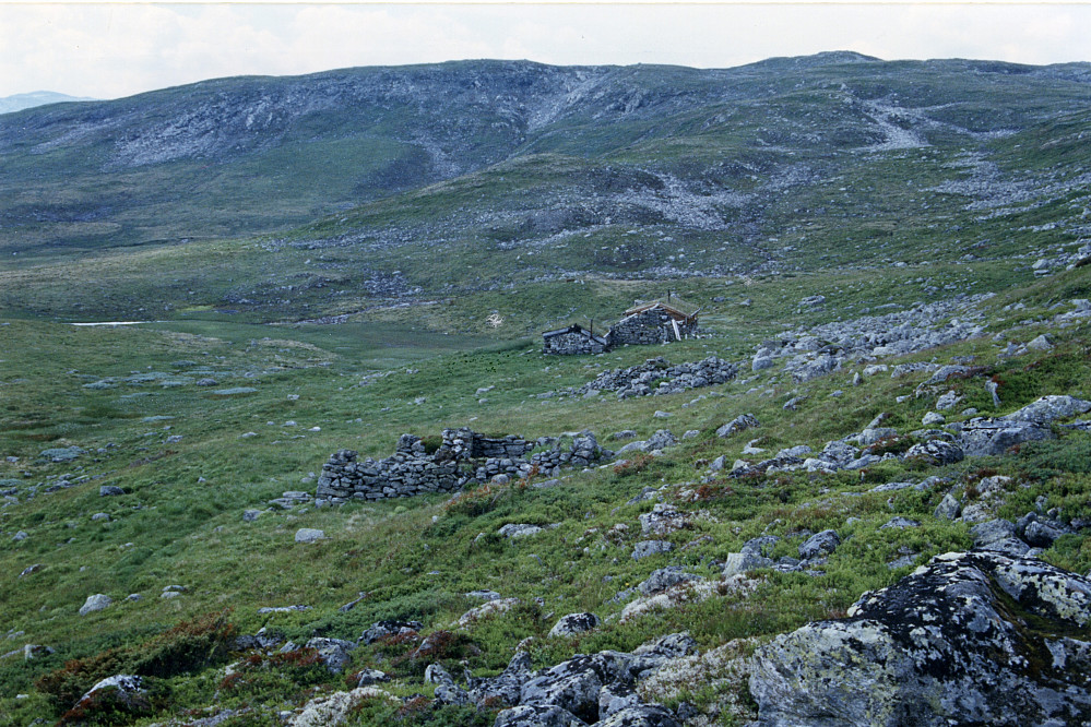Tyrva seter sett fra Tørvenuten. Gamle murer og sel under restaurering