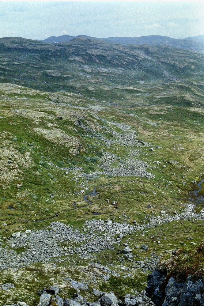 Offerringene (gamle steinringer) ved Tyrva