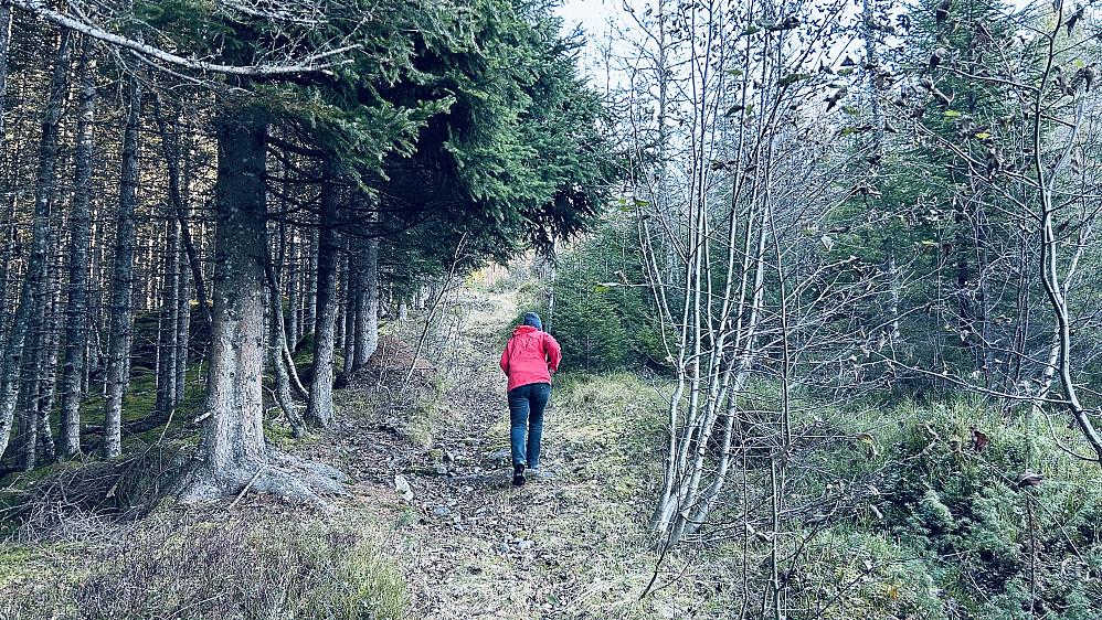 Astrid på vei opp Gamle Raundalsvegen i Skiplebakken