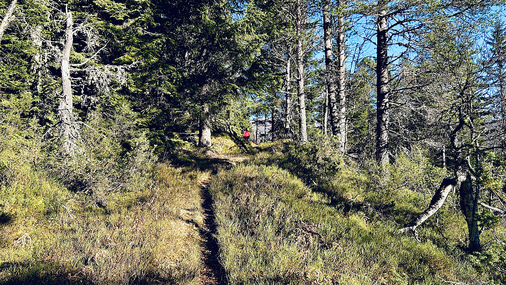 Gamle Raundalsvegen vest for Stølsleitet