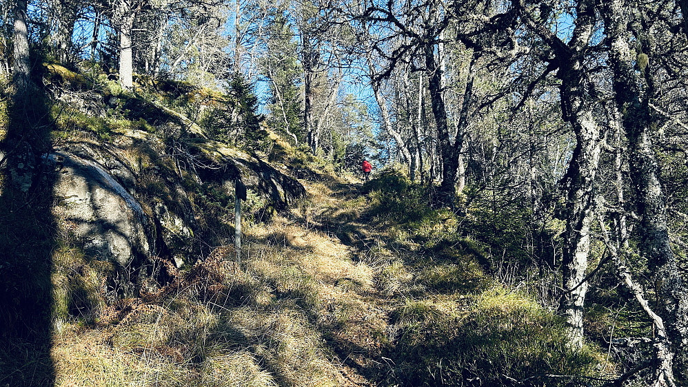 Skårabakken